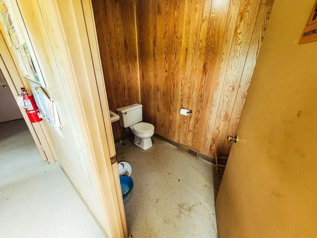 Picture 11