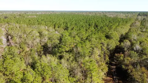 516-Acre Land in Devers, TX
