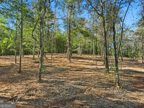 Picture of Land at Birmingham Hwy 13630, Alpharetta, GA