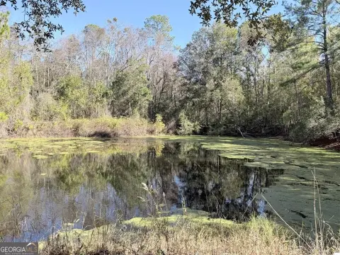 Land with Pond near Waycross