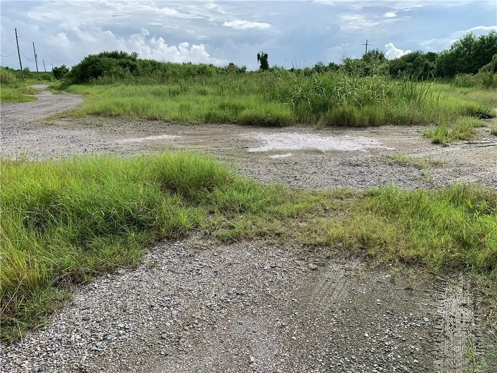 Picture 6
