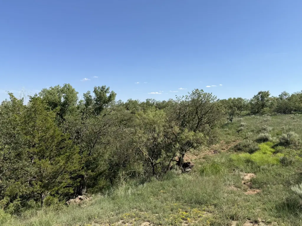 Picture 25
