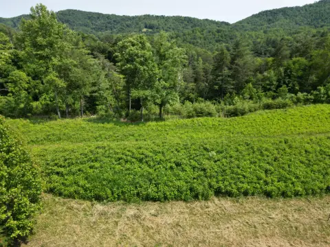 Vinton Land with Mountain Views