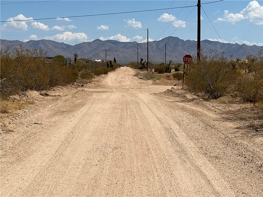 Picture 21