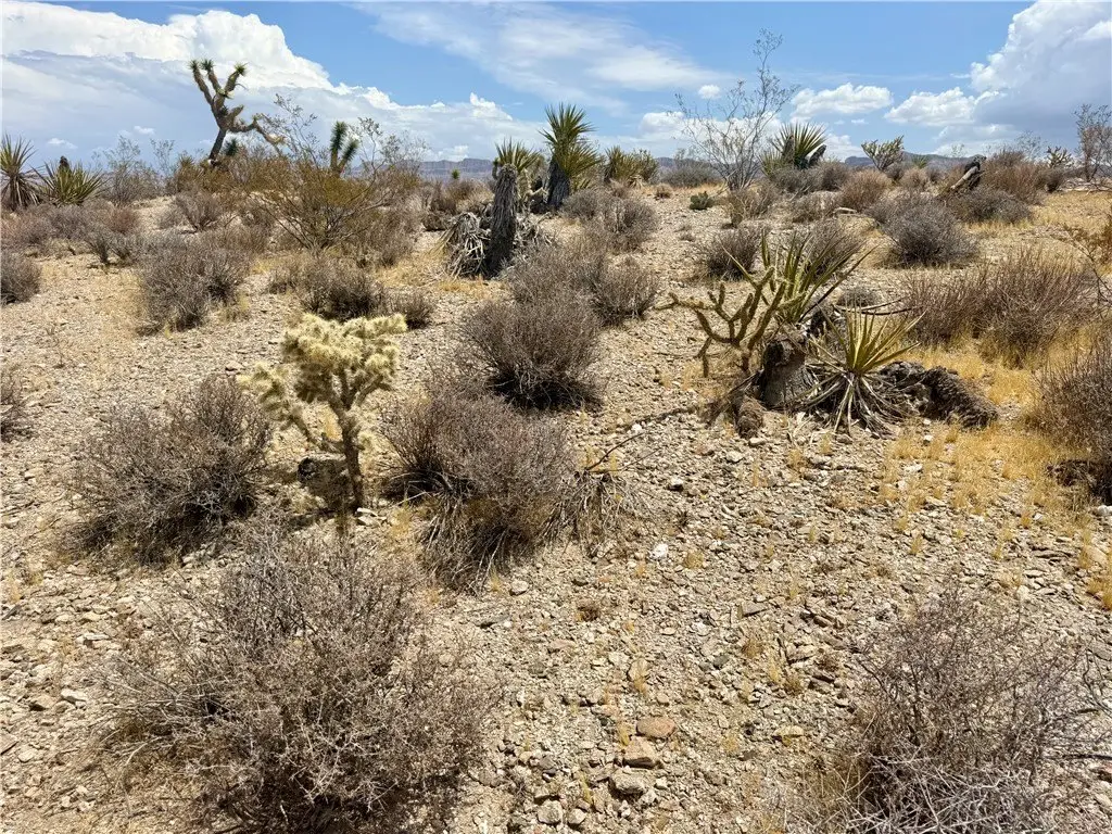 Picture 20