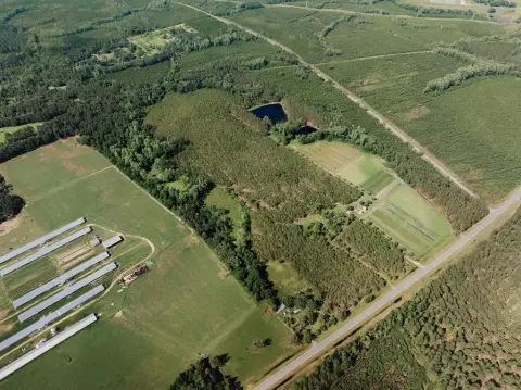 Appling County Timberland Opportunity