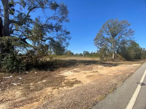 Tarrytown Acreage with Pecan Trees