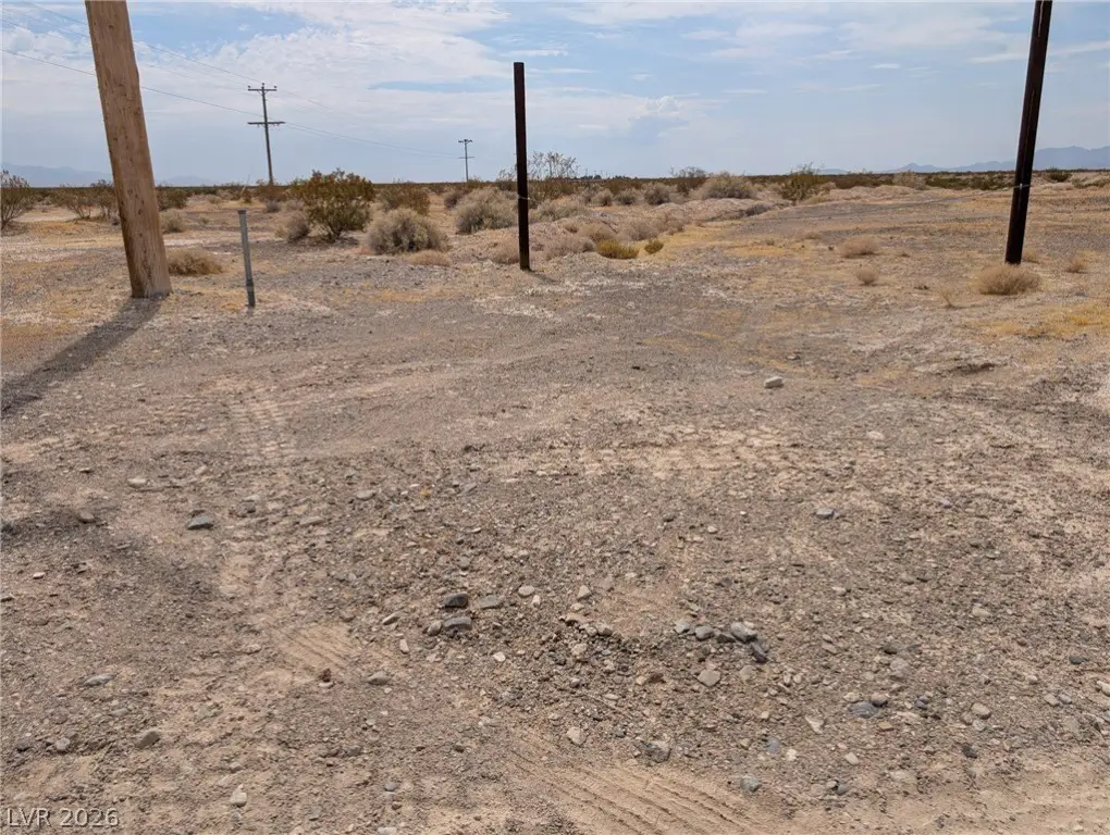 Picture 19