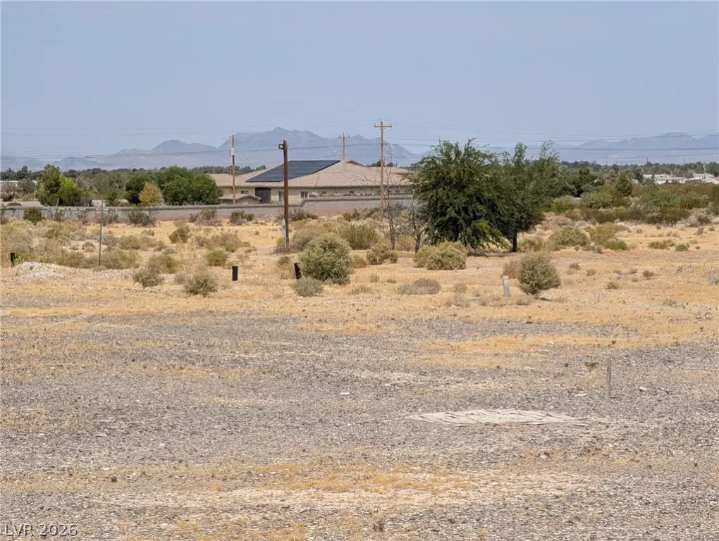Picture 21