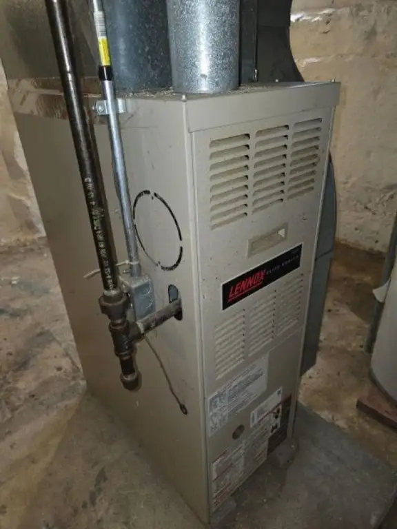 Picture 21