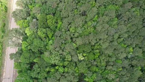 Highway Frontage Homesite in Smithdale