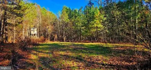 Prime Hunting Land For Sale