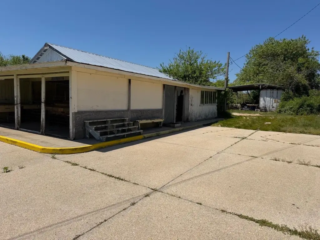 Picture 3