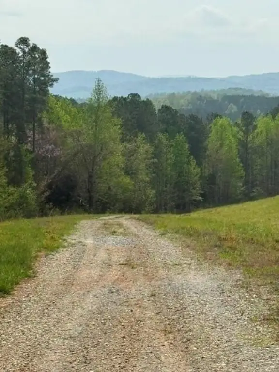 Picture 23