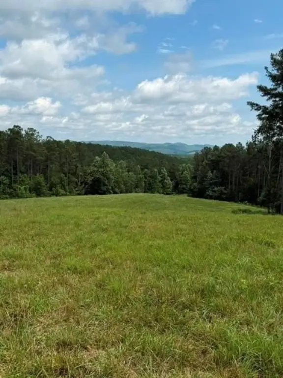 Picture 20