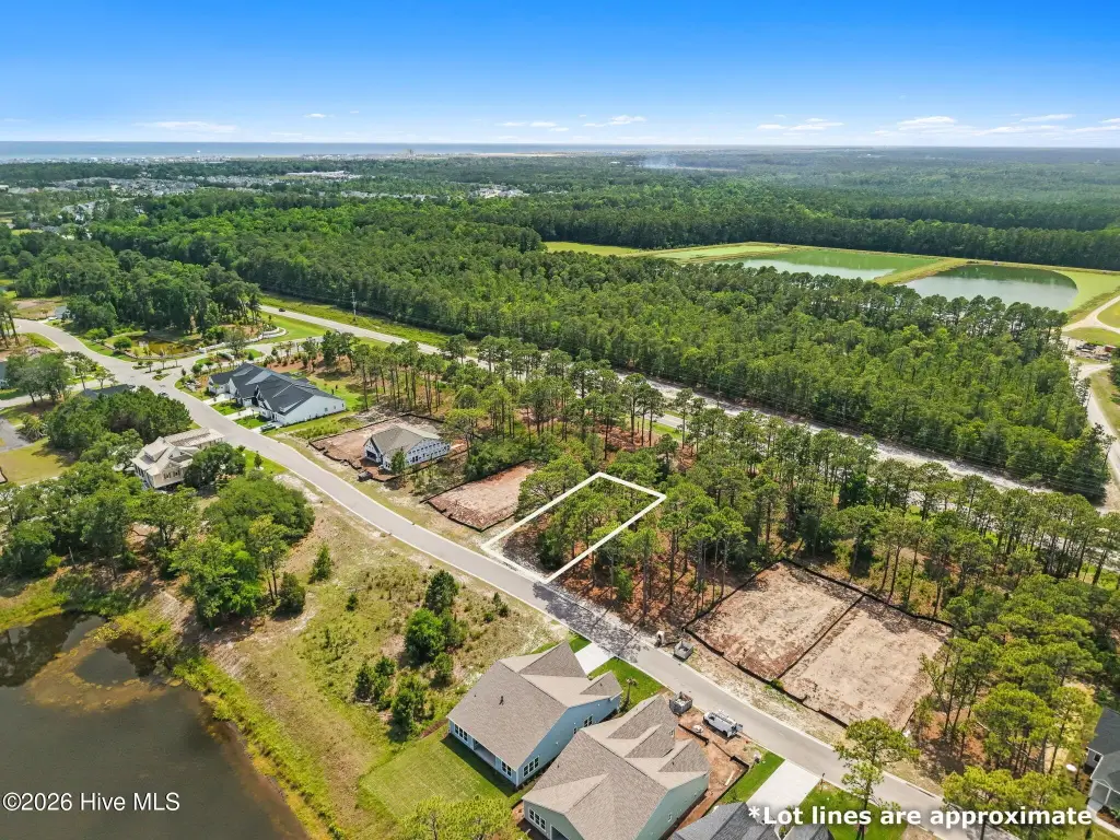 Picture 4