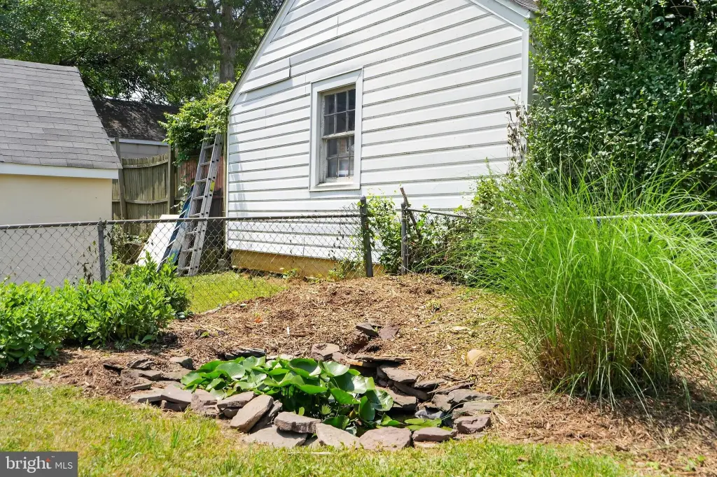 Picture 61