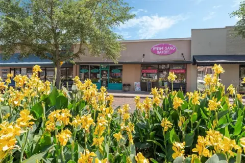 Winter Garden Retail on Plant