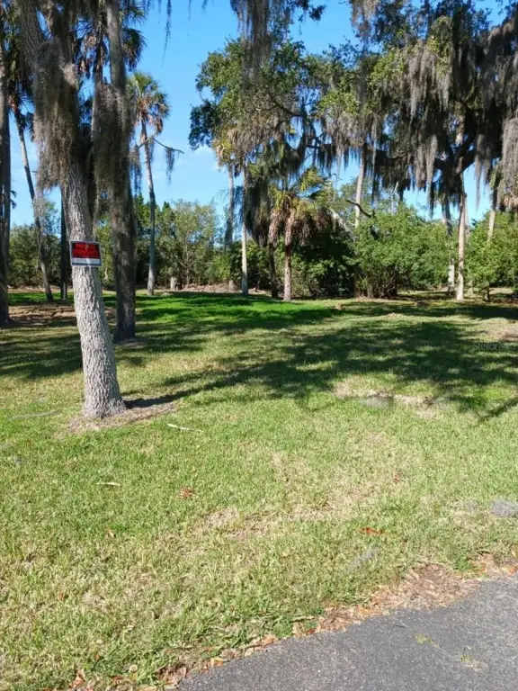 Picture 3