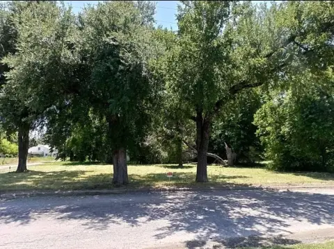 Corner Lot in Cooper, Texas