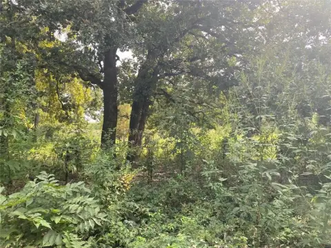 Land Near Cedar Creek Lake