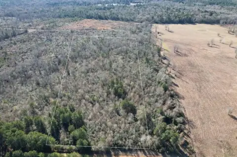 15.5 Acres of Timber Land