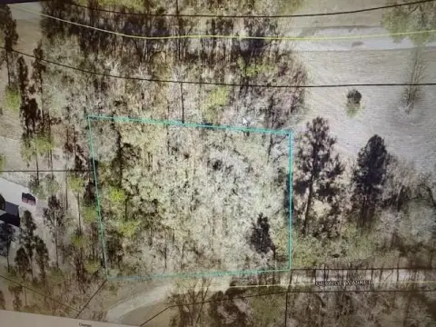 Wooded Lot Near Vidalia