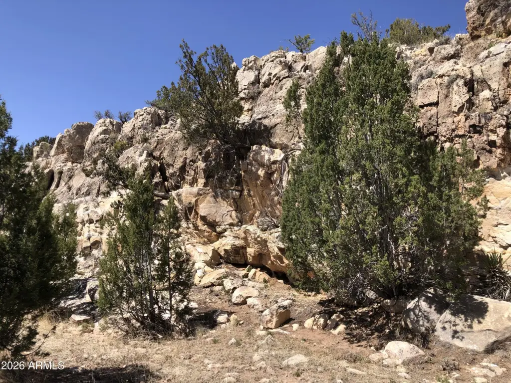 Picture 29