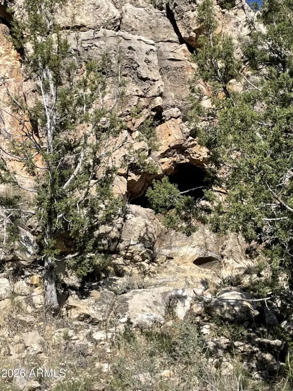 Picture 28