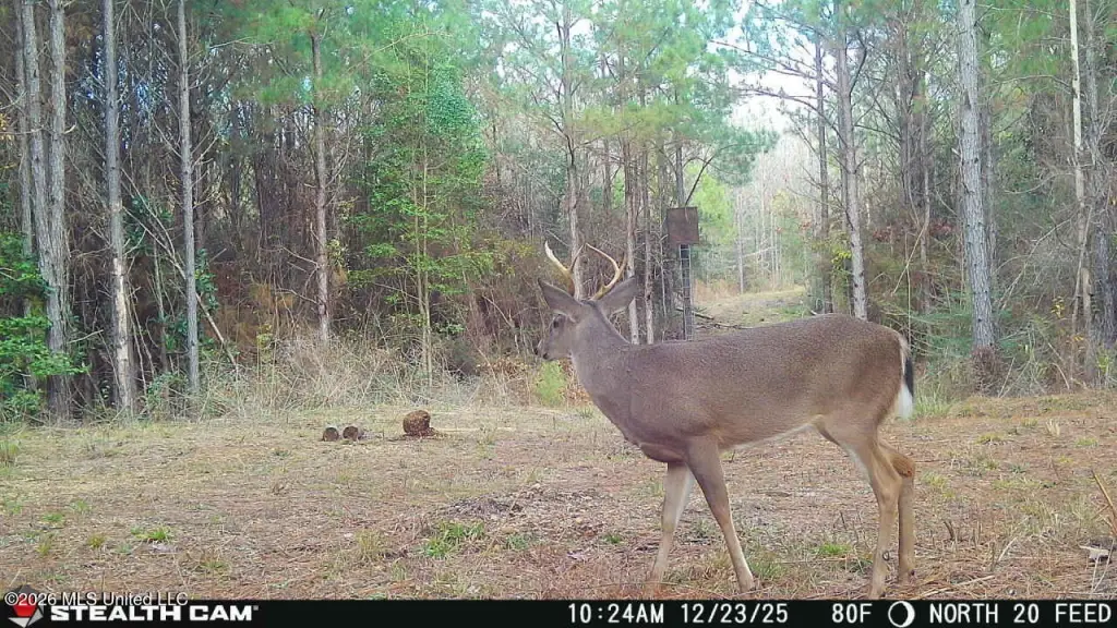 Picture 14