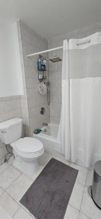 Picture 15