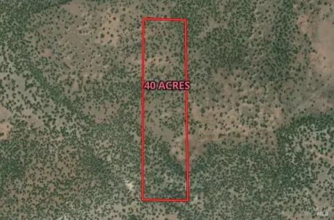 40 Acres Near BLM Land