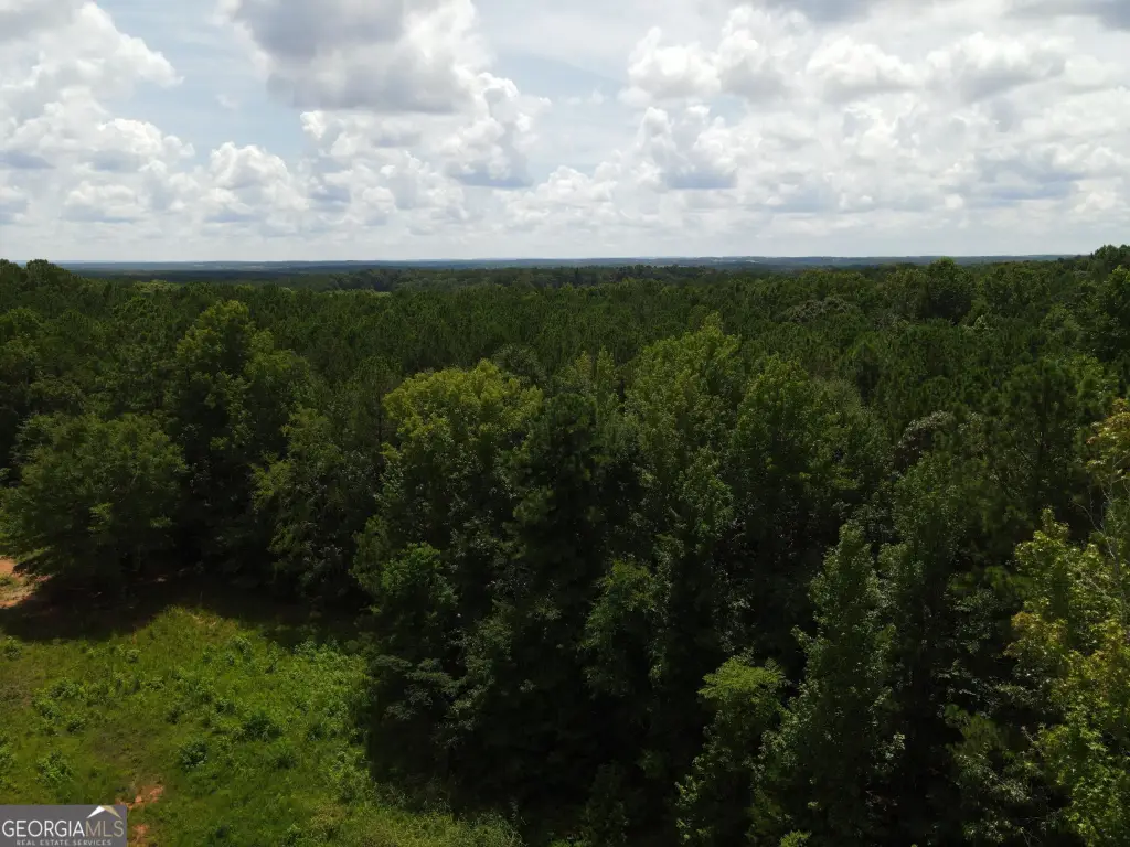 Picture 30