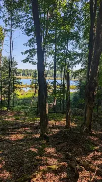 Vacant Land on Small Lake