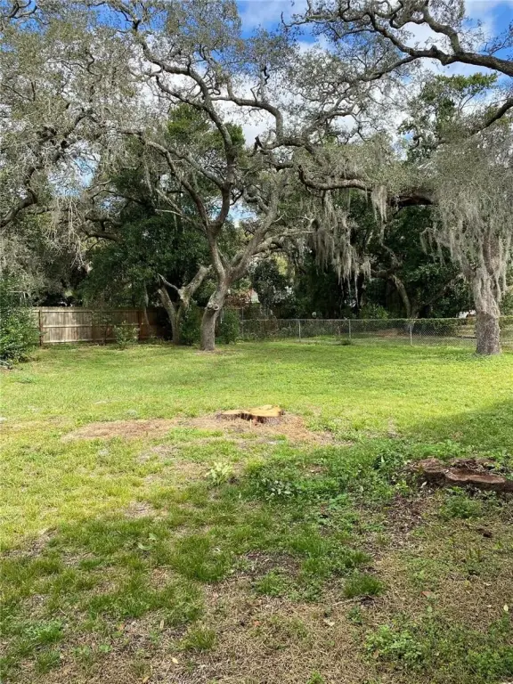 Picture 25