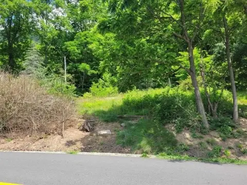 Residential Lot in Pulaski County