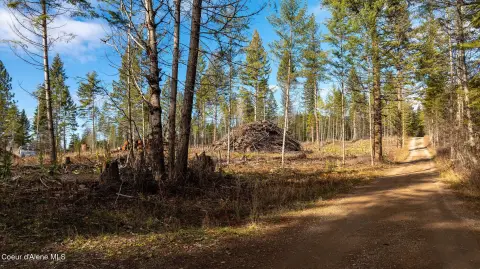 Idaho Wilderness Living Land