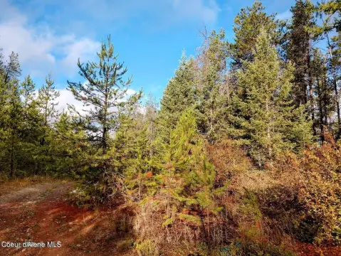 Land in Spirit Lake, ID