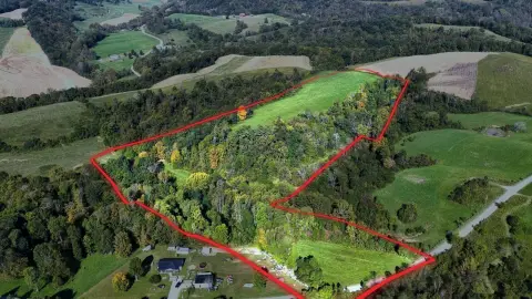 Wooded Hunting Land