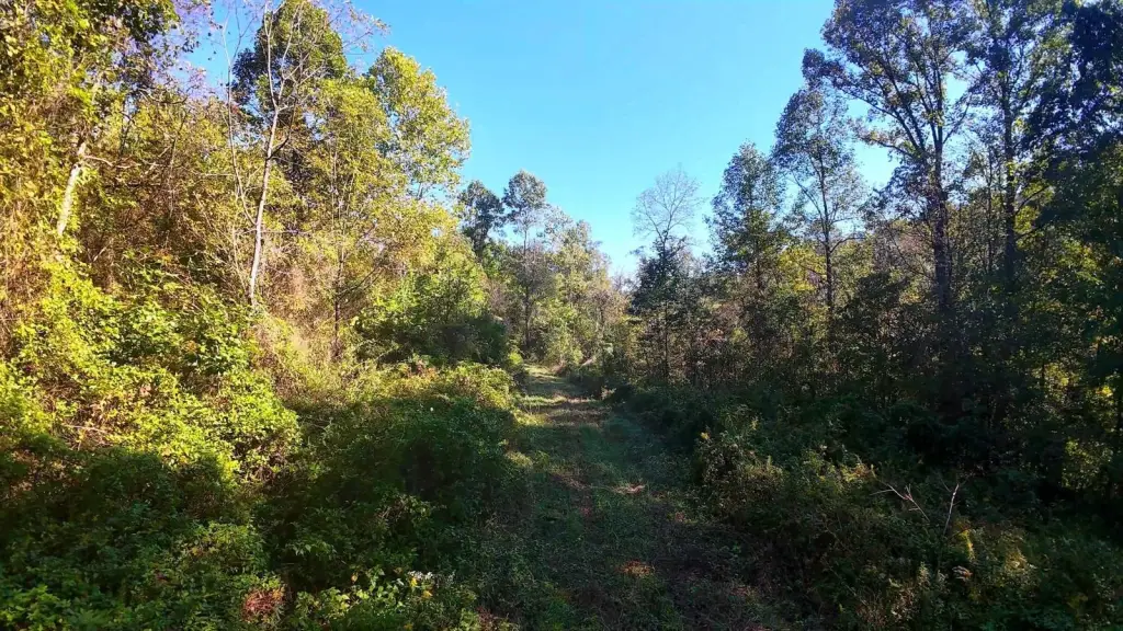 Picture 6