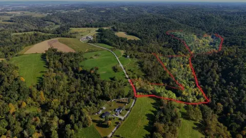 Wooded Hunting Land