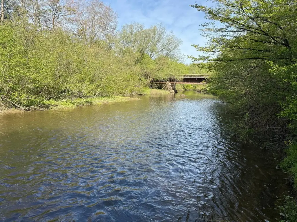 Picture 29