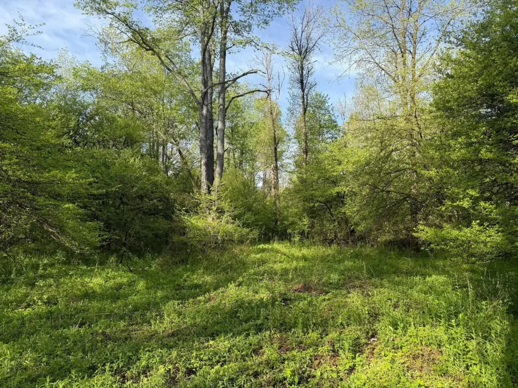 Picture 20