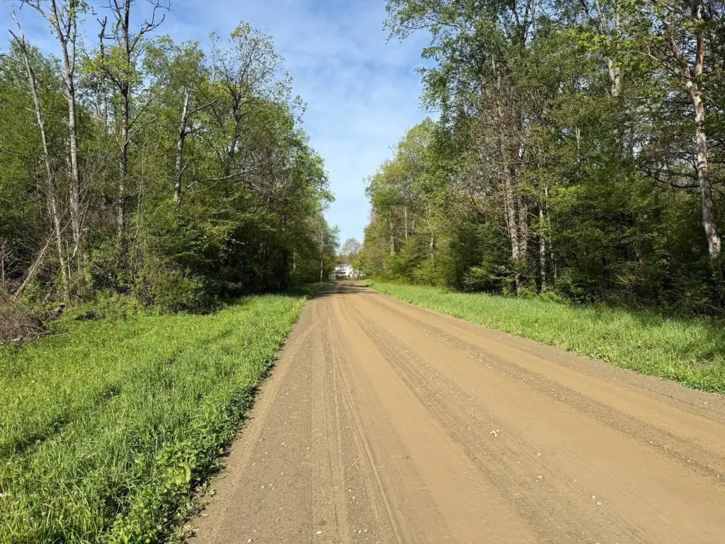 Picture 32