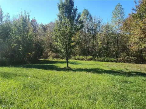 19-Acre Wooded Land Parcel