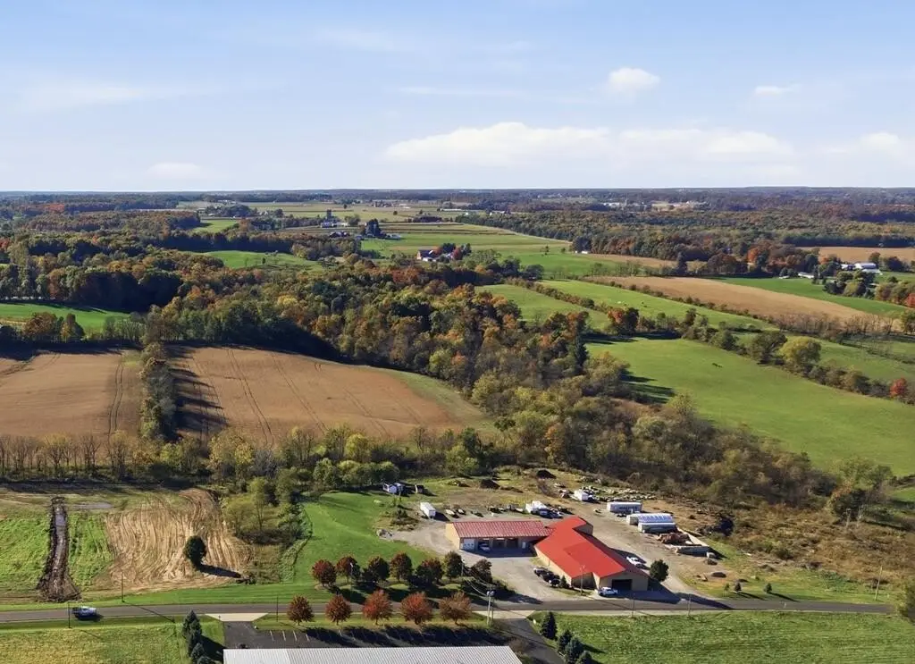 Picture 8