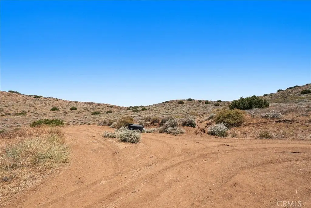 Picture 15