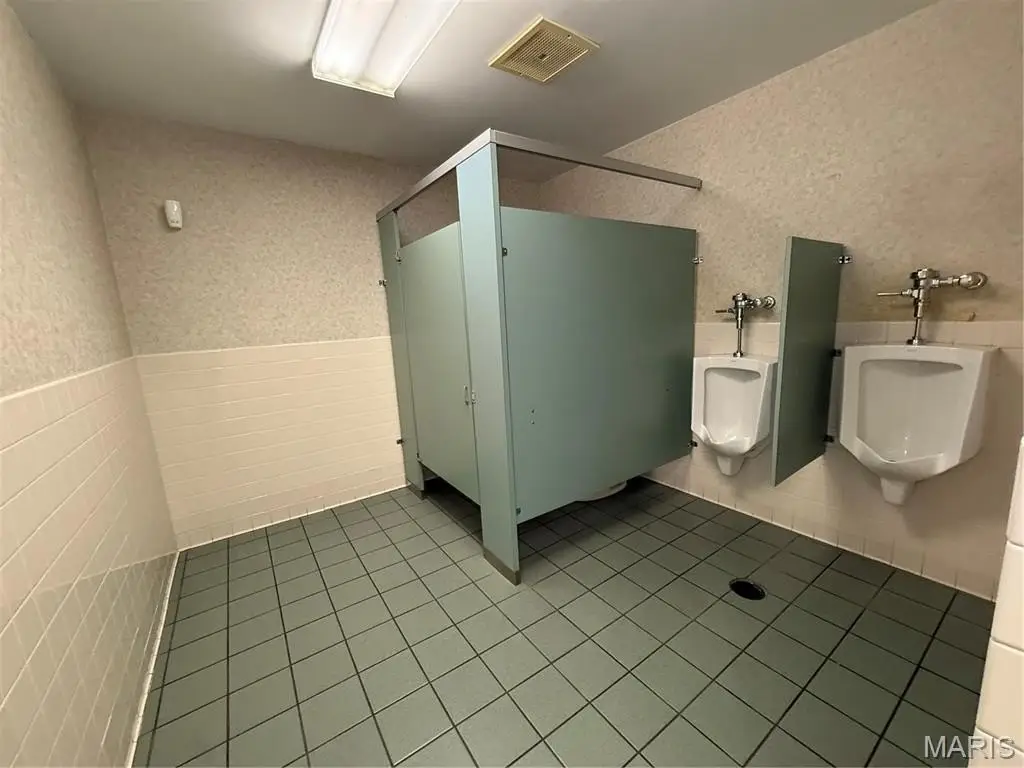 Picture 11