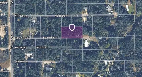 Half-Acre Agricultural Land in Citra