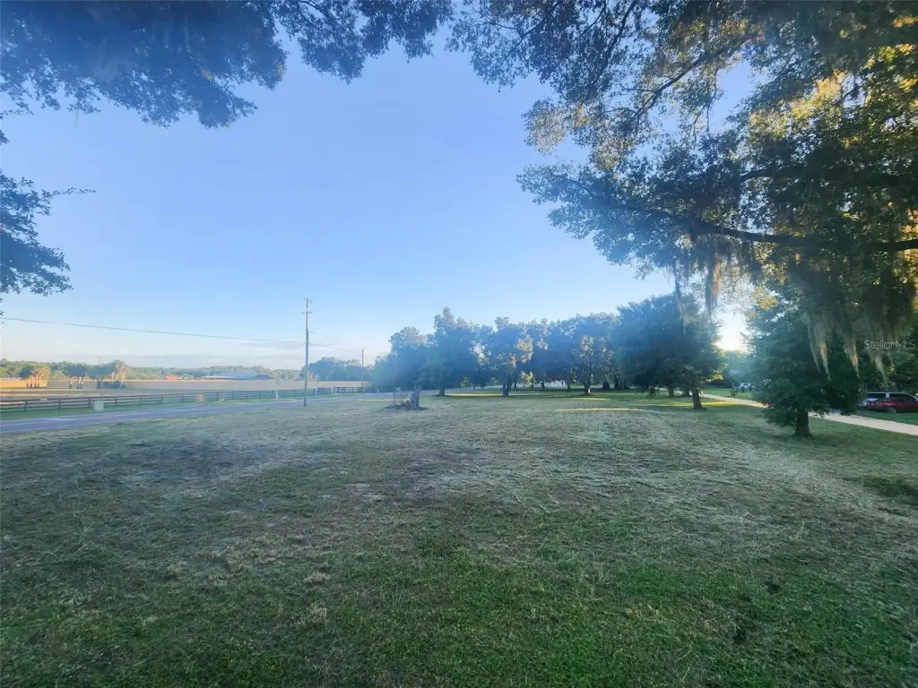 Picture 21